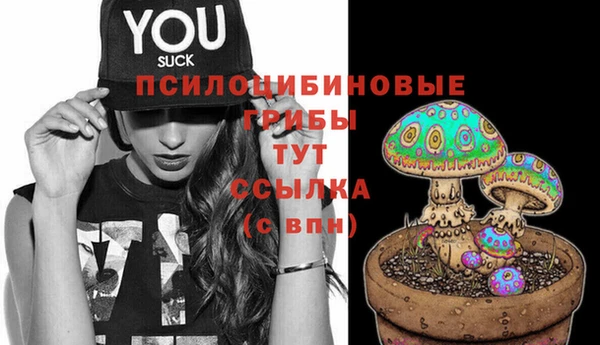 бошки Осинники