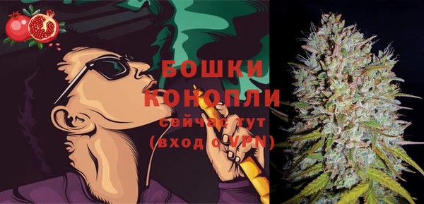 бошки Осинники