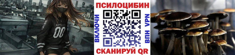 где купить наркотик Курильск Галлюциногенные грибы MAGIC MUSHROOMS